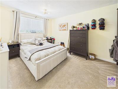 Picture 16